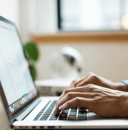 Dravexoly Abbildung des Betreuungsteams